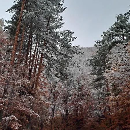 Saint Constantine Mountain Retreat 2*