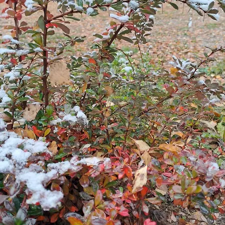 Hotel Saint Constantine Mountain Retreat