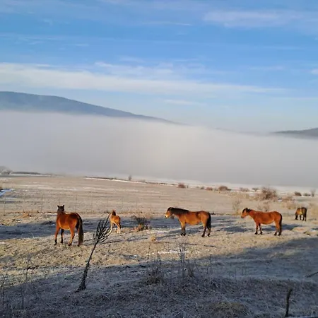 Saint Constantine Mountain Retreat 2* Pechtera