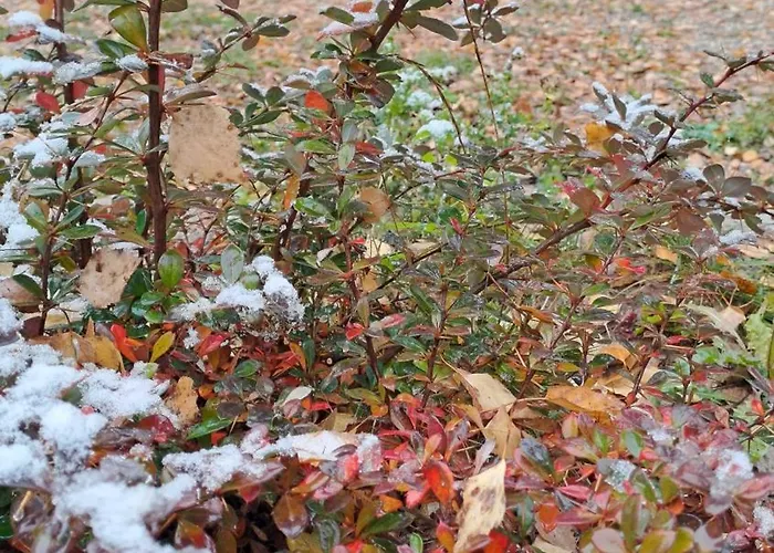 Hotel Saint Constantine Mountain Retreat